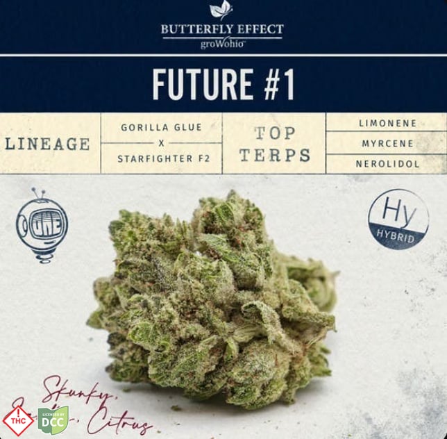 Butterfly Effect - Future #1 - - Image 1