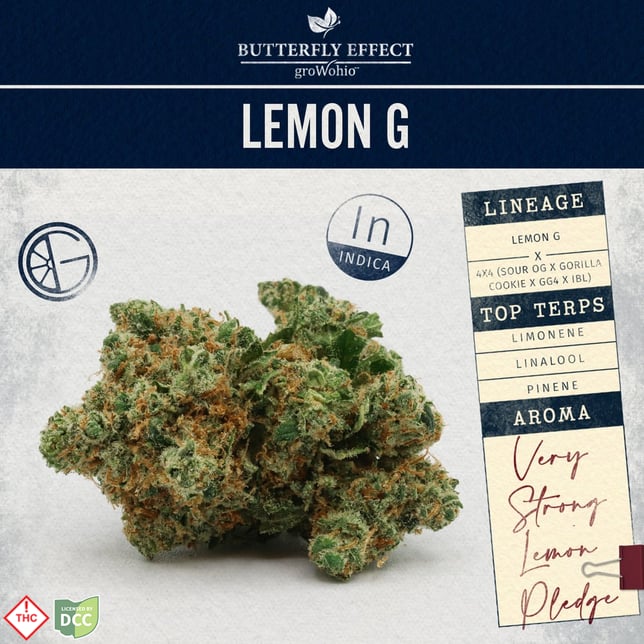 Butterfly Effect - Lemon G - 14.15g - Image 1 Butterfly Effect - Lemon G - 14.15g - Image 1