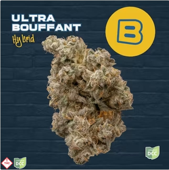Buckeye Relief - Ultra Bouffant - - Image 1