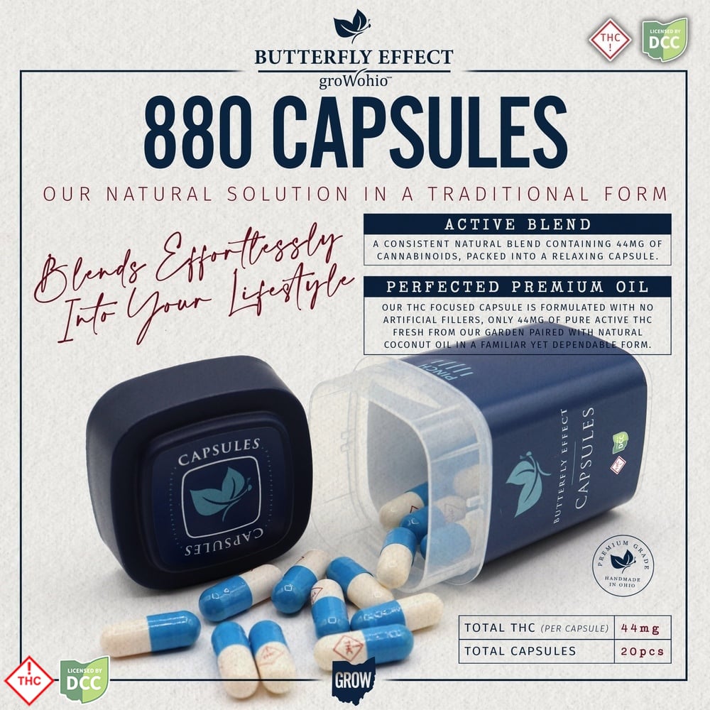 Capsules [20pk] (880mg)