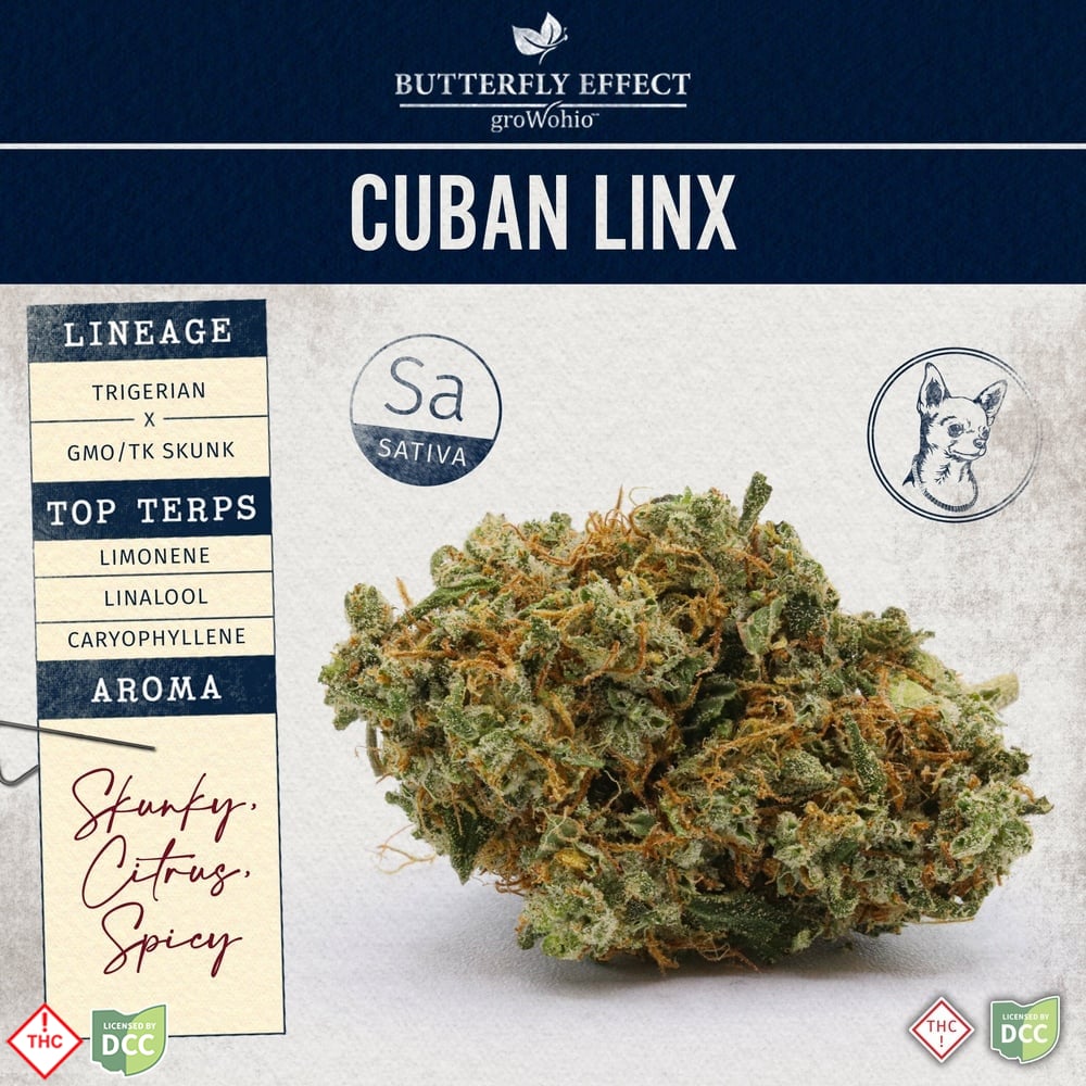 Cuban Linx [14.15g]