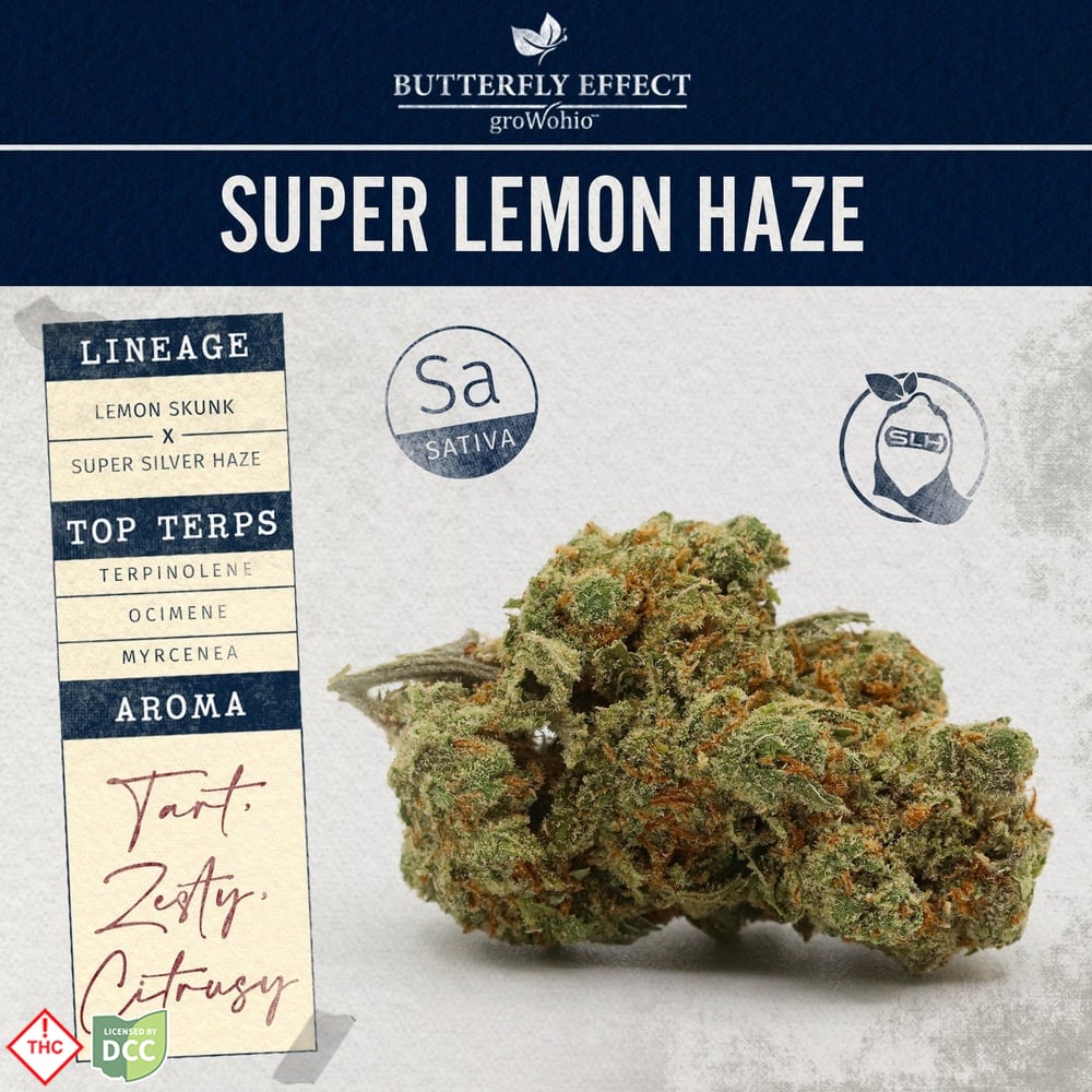 Super Lemon Haze [14.15g] (5-day)