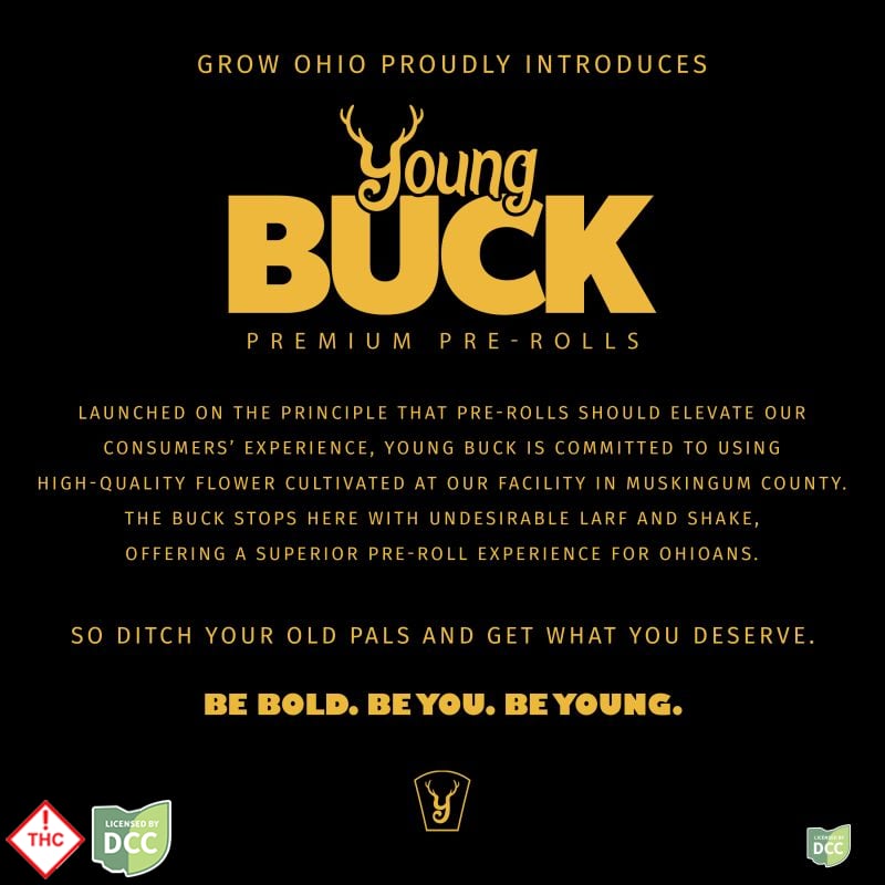 Young Buck - Pre-Roll 5 Pk - Lemon G - 2.5g