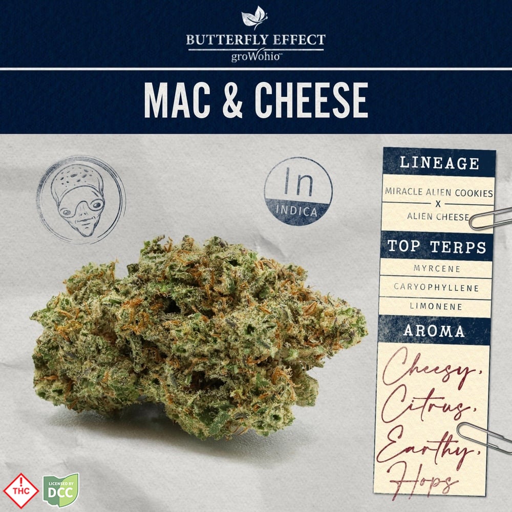 Butterfly Effect - MAC & Cheese - 2.83g