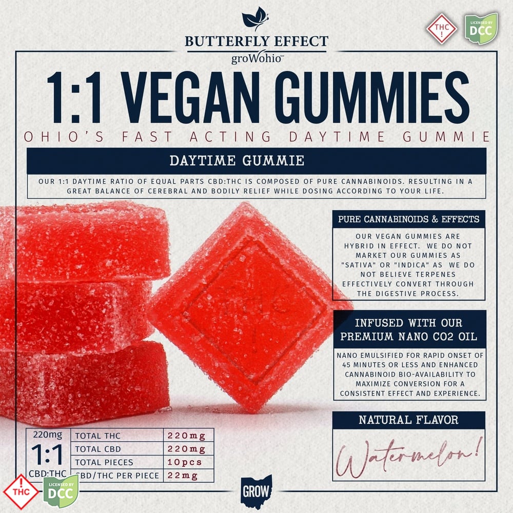 1:1 Watermelon Gummies [10pk] (220mg CBD/220mg THC)