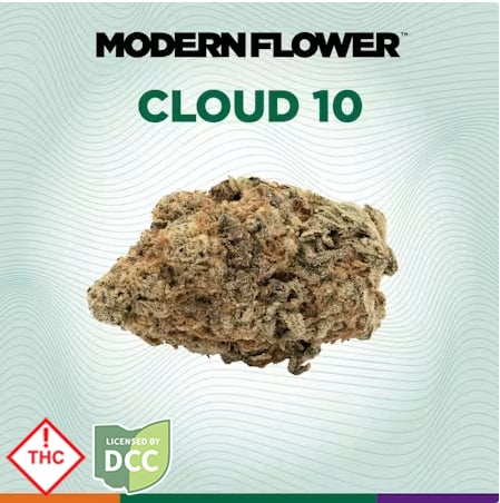 Modern Flower - Cloud 10 -