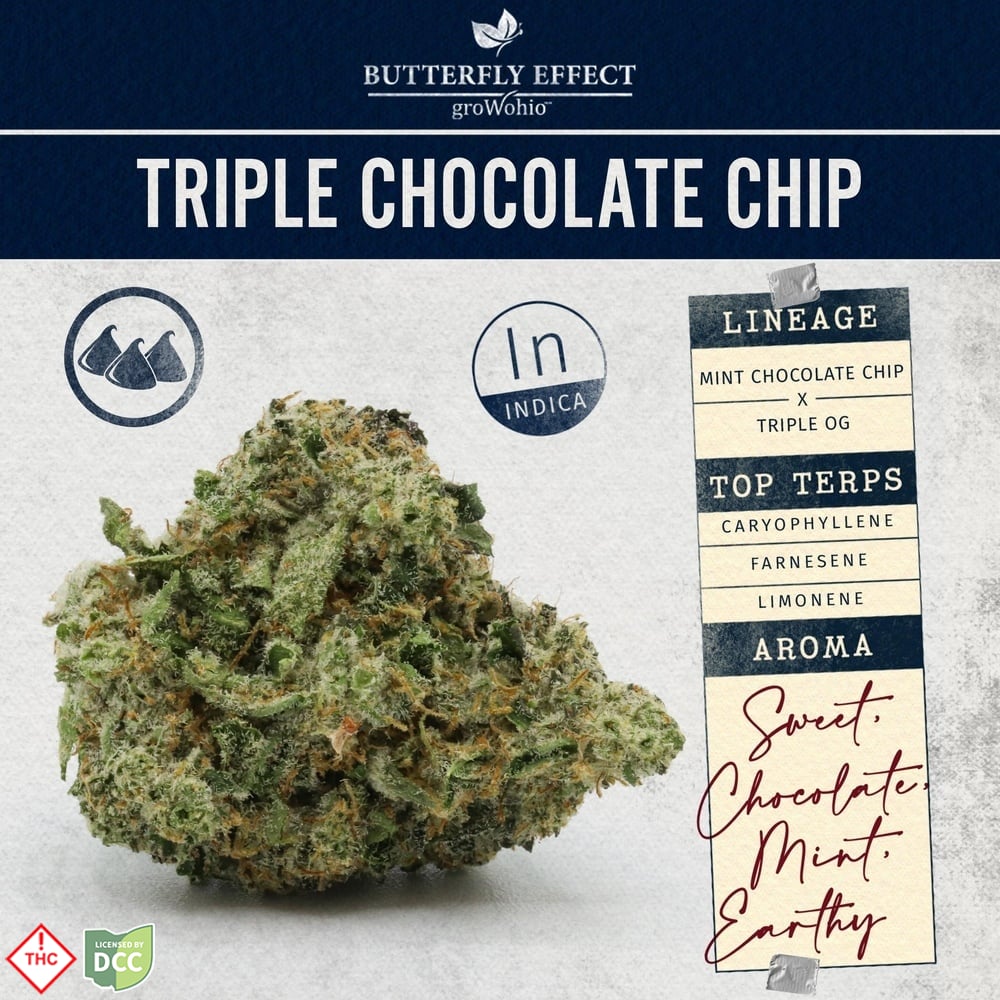 Butterfly Effect - Triple Chocolate Chip - 2.83g