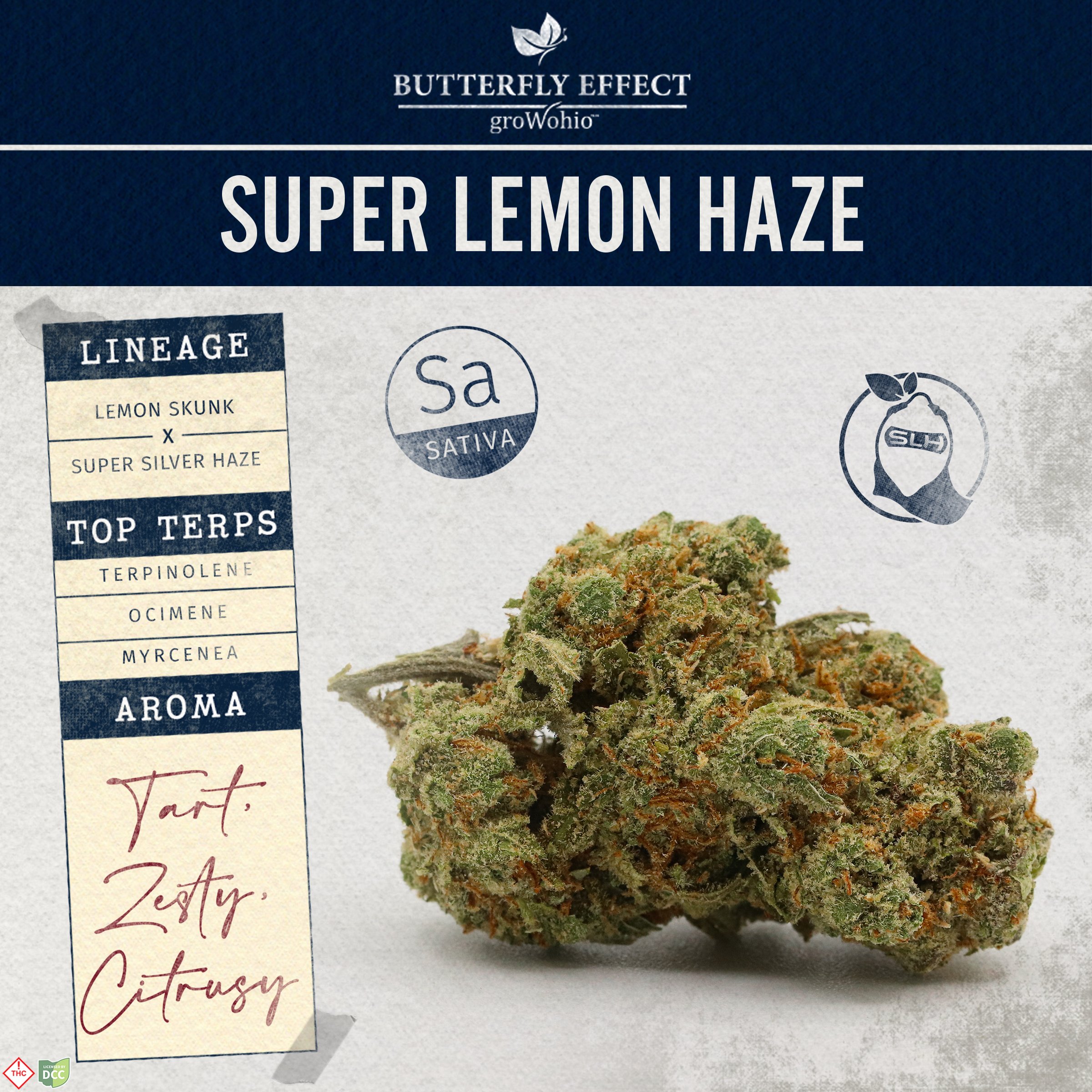 Butterfly Effect - Super Lemon Haze - Butterfly Effect - Super Lemon Haze -