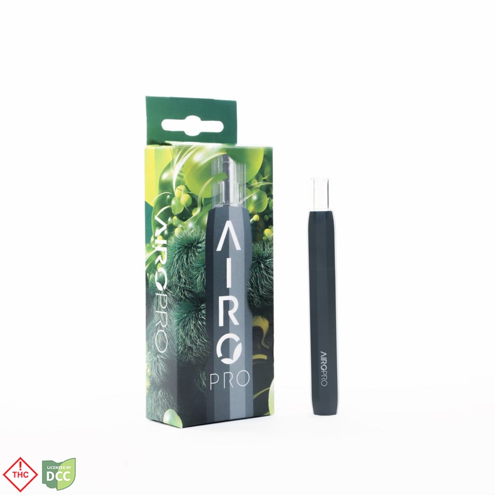 AiroPro Rechargeable Vaporizer - Slate