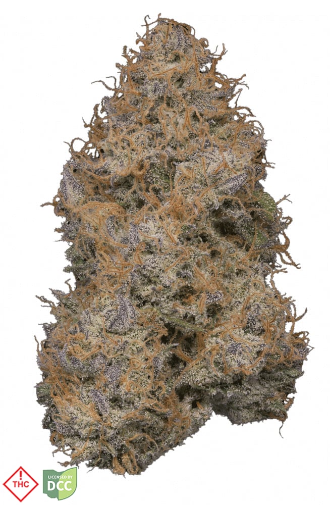 Klutch - Scotty 2 Hot 2.83g