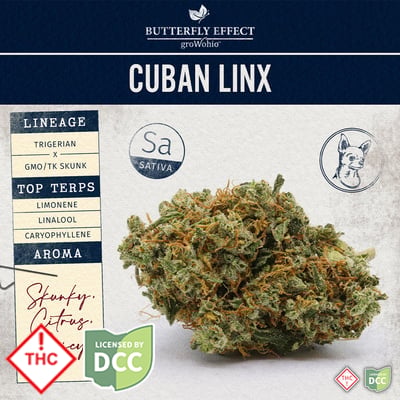 Butterfly Effect - Cuban Linx -
