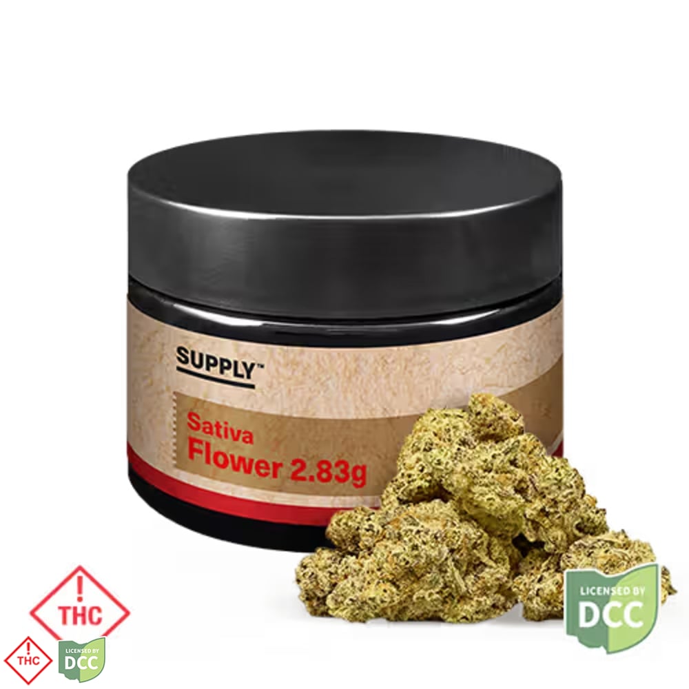 Supply - GMO x Papaya - 2.83g