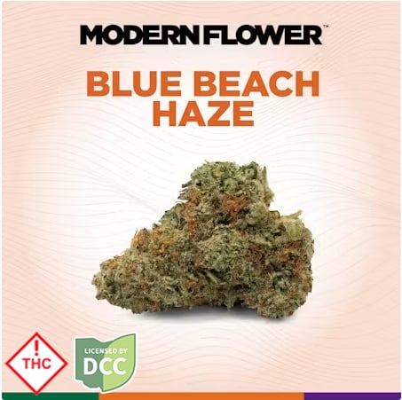 Modern Flower - Blue Beach Hz -
