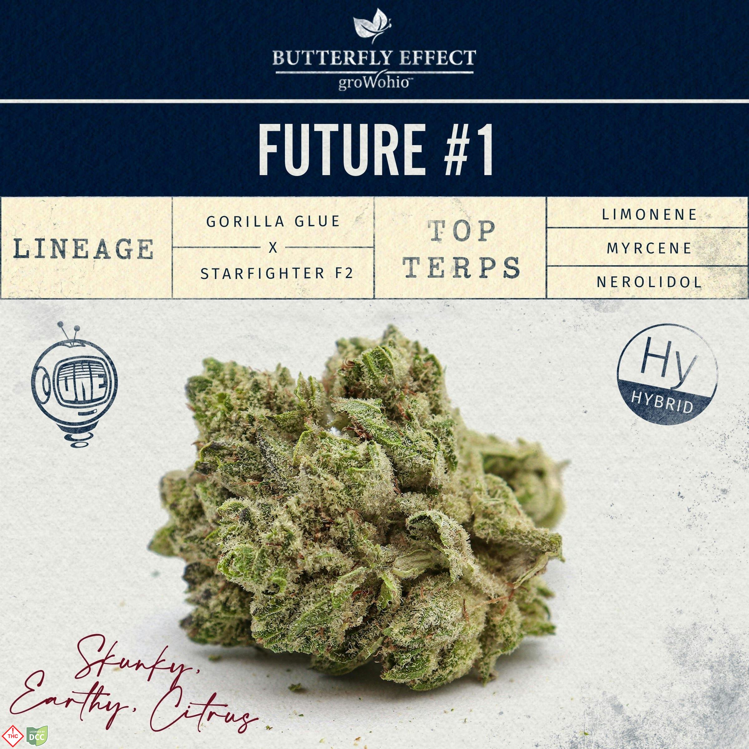 Future #1 [14.15g]