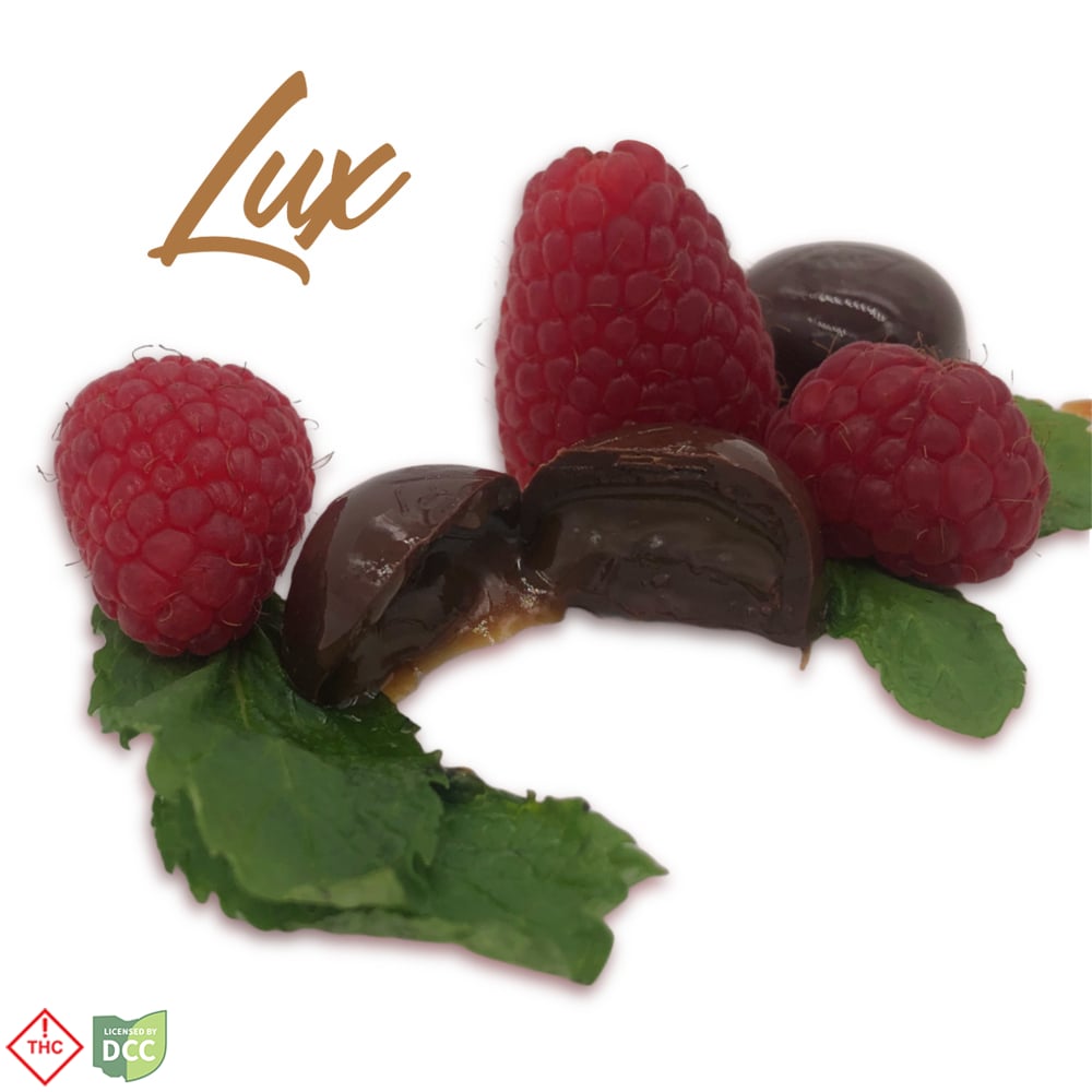 Dark Chocolate Raspberry Caramel | 10pk |  110mg