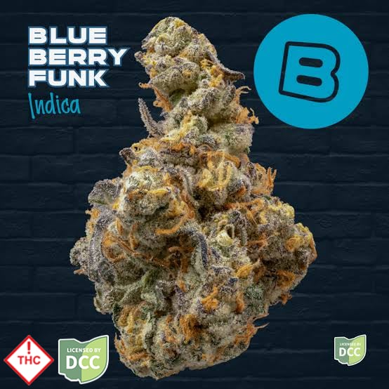 Relief - Blueberry Funk
