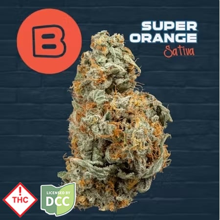 Buckeye Relief - Super Orange -