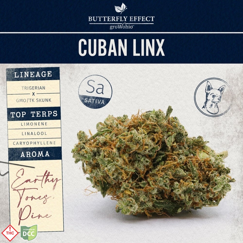 Butterfly Effect - Cuban Linx - 2.83g