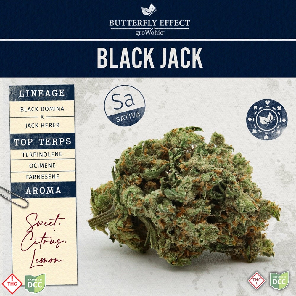 Black Jack [28.3g] (ROUGH CUT)