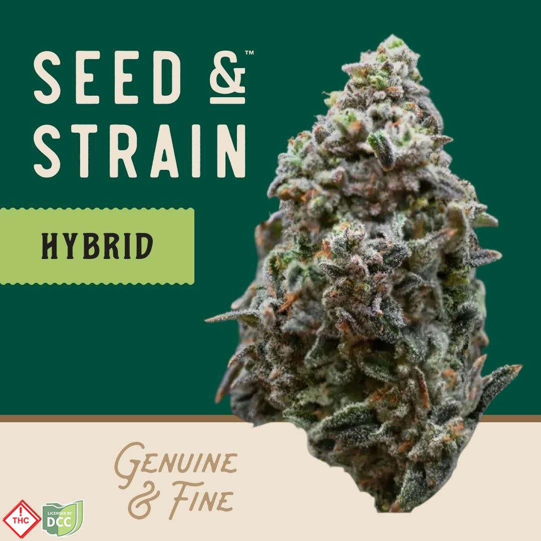 Seed & Strain - Papaw's Cookies - 14.15g