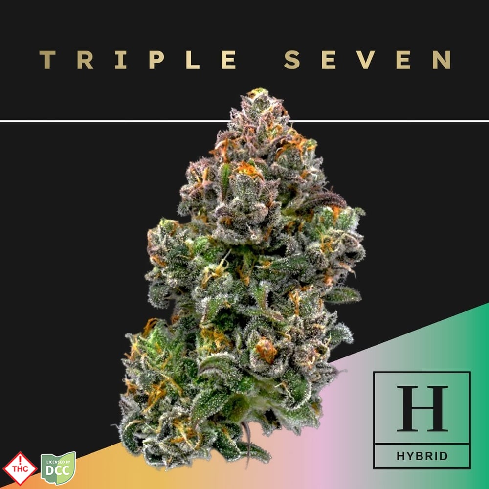 Triple Seven - Bubbashine - 14.15g