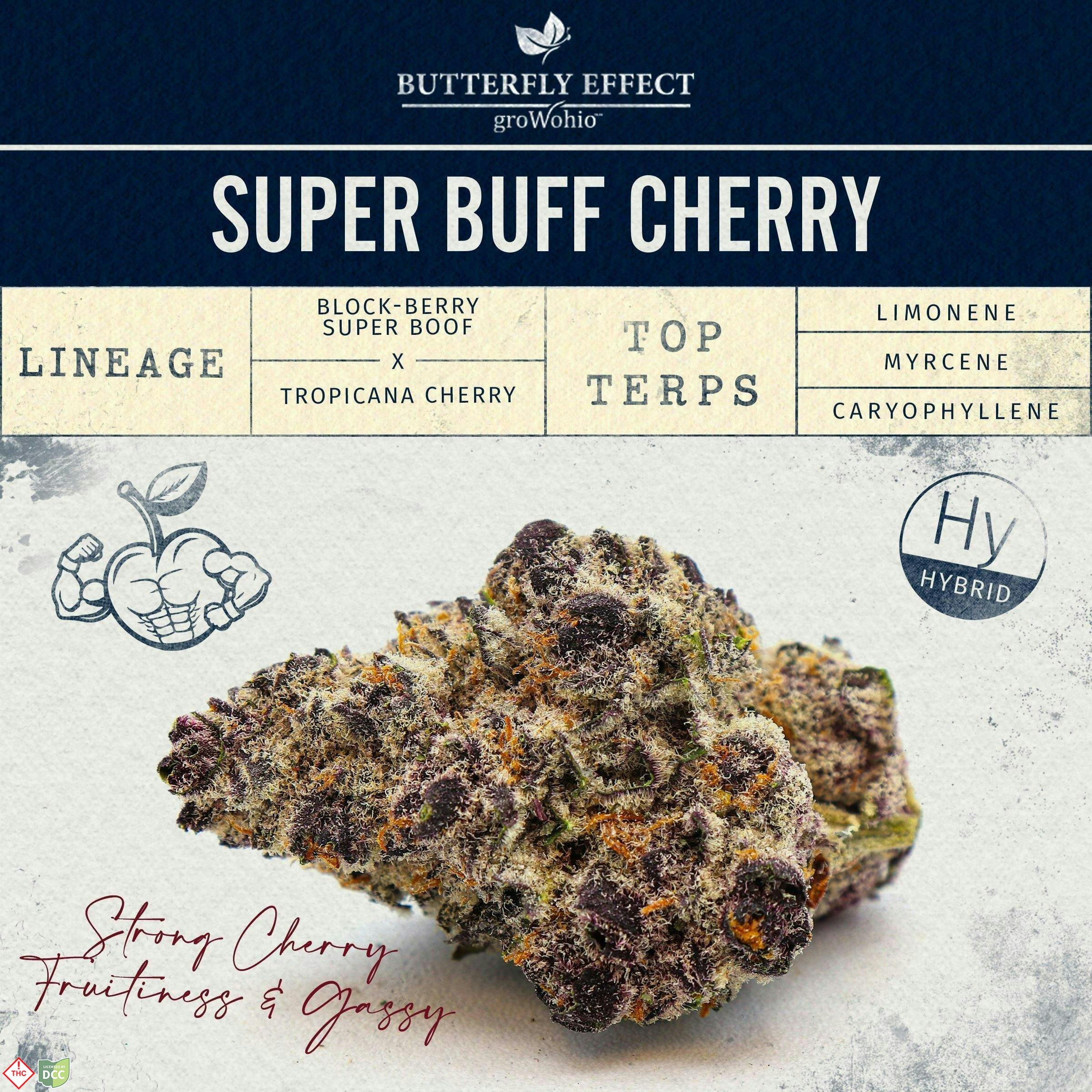 Butterfly Effect - Super Buff Cherry #26 - 14.15g [SMALLS]