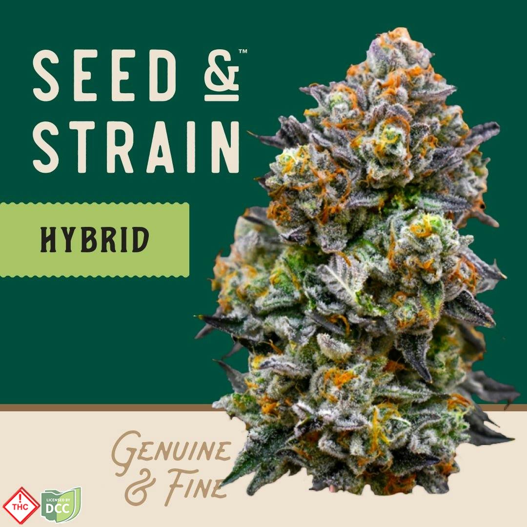 Seed & Strain - Meat Pie - 14.15g