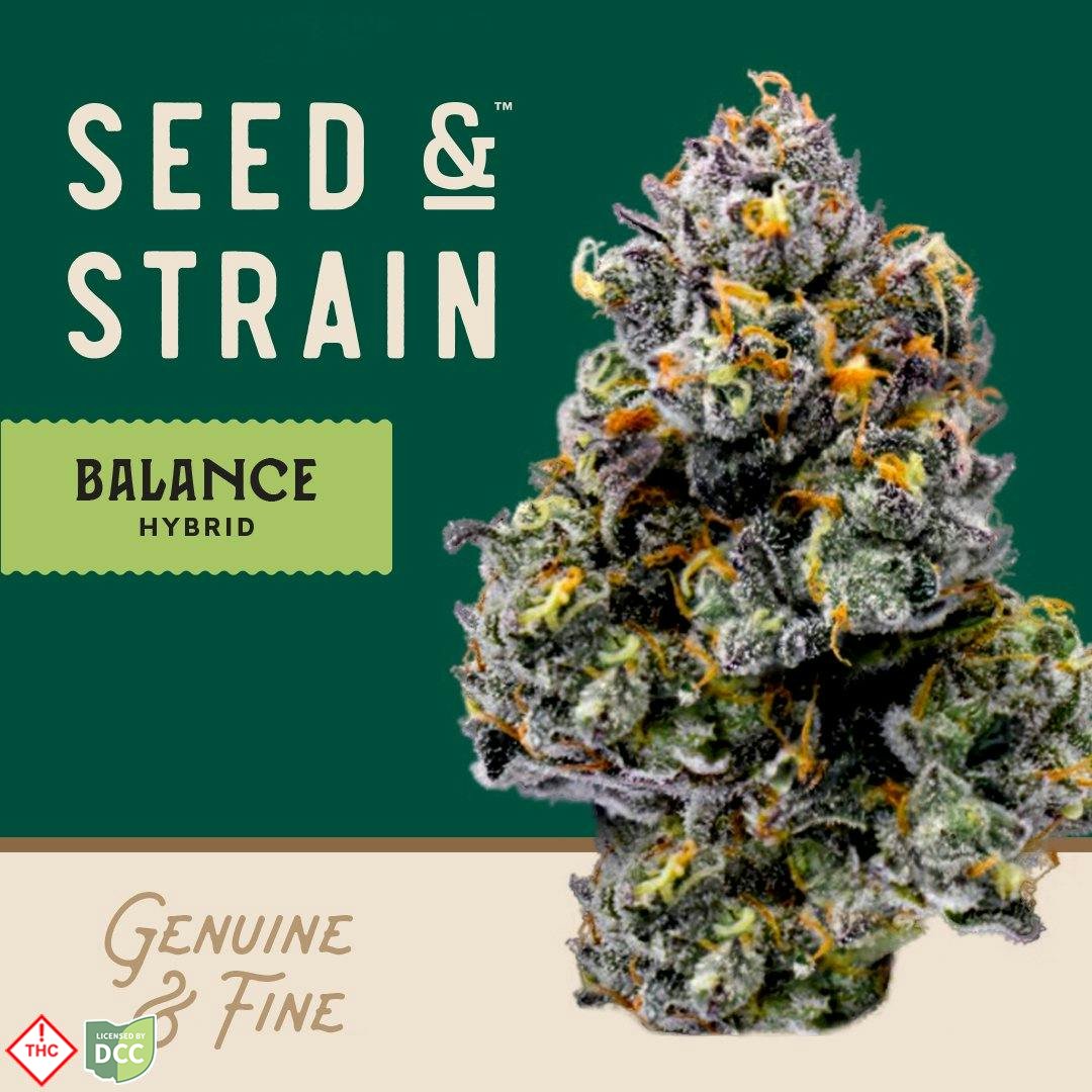 Modified Fruit [28.3g]