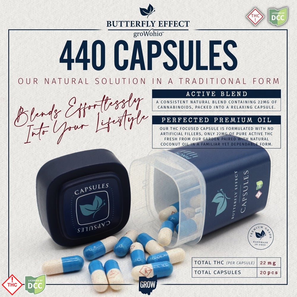 Capsules 20pk 440mg