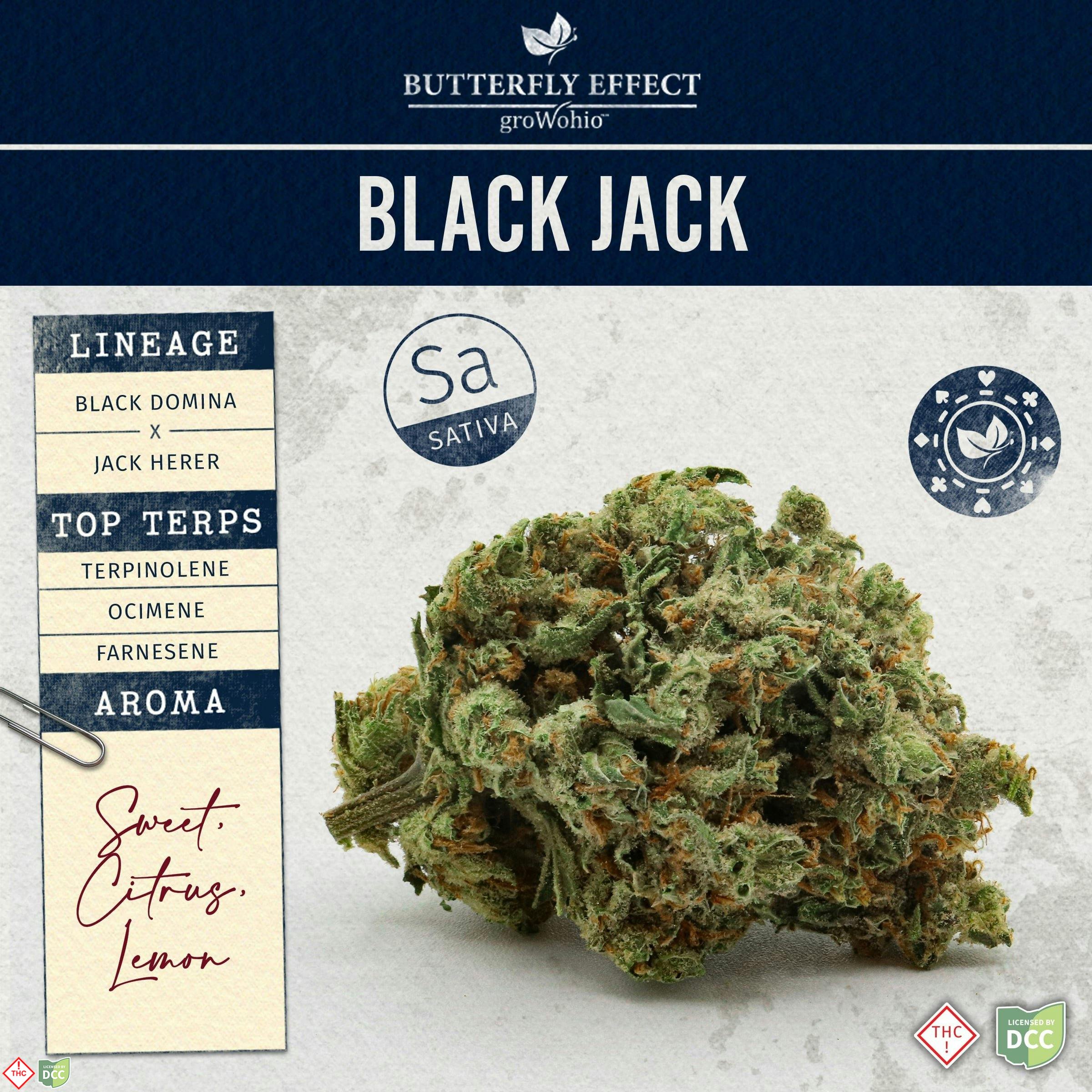 Butterfly Effect - Black Jack -
