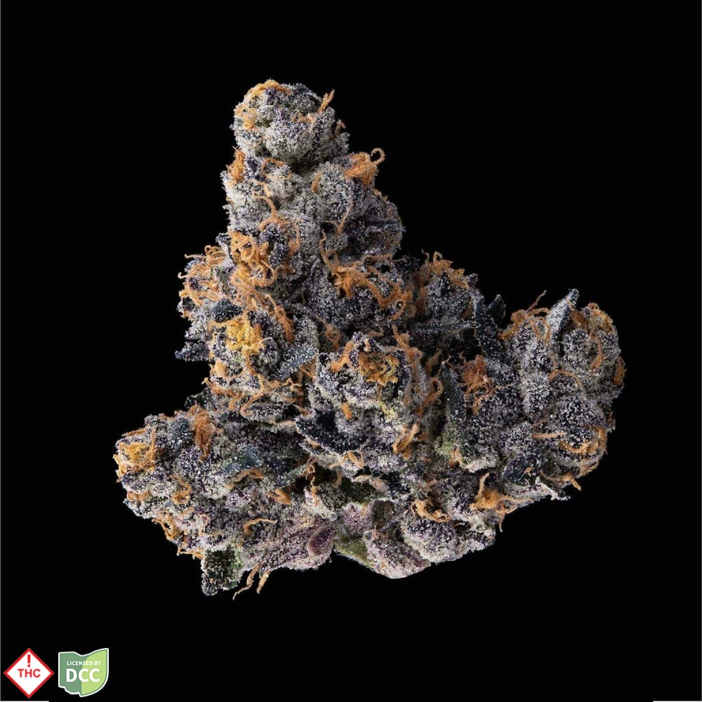 Klutch - Jealousy - 14.15g Klutch - Jealousy - 14.15g