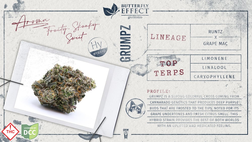 Butterfly Effect - Lemon G - 28.3g [ROUGH CUT]