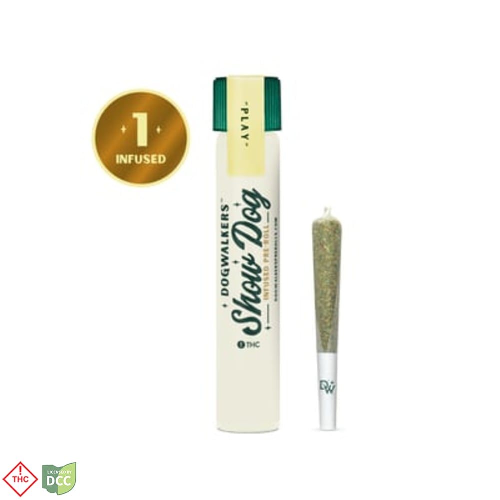 Dogwalkers - Infused - Pre-Roll - Hash Queen - 1g