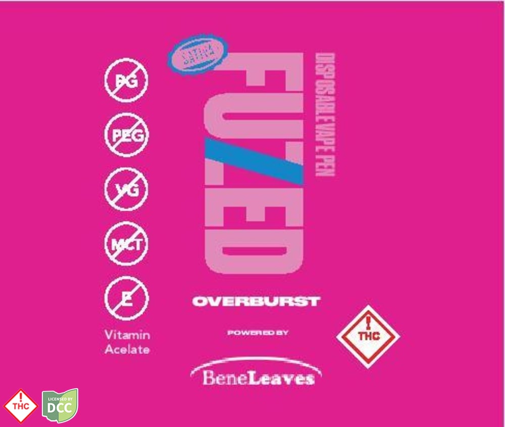 Fuzed - 2 Day RSPB - 1g Vape Pen