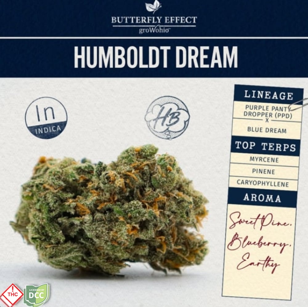 Butterfly Effect - Humboldt Dream - 14.15g [SMALLS]
