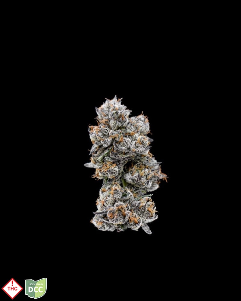 Toro Rojo [28.3g] (10-day)