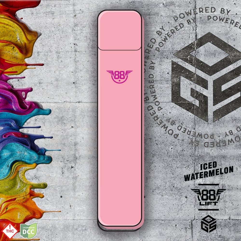 I.W. | 2.0 Rechargeable Disposable | [1g]