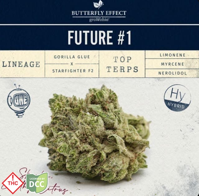 Butterfly Effect - Future #1 -