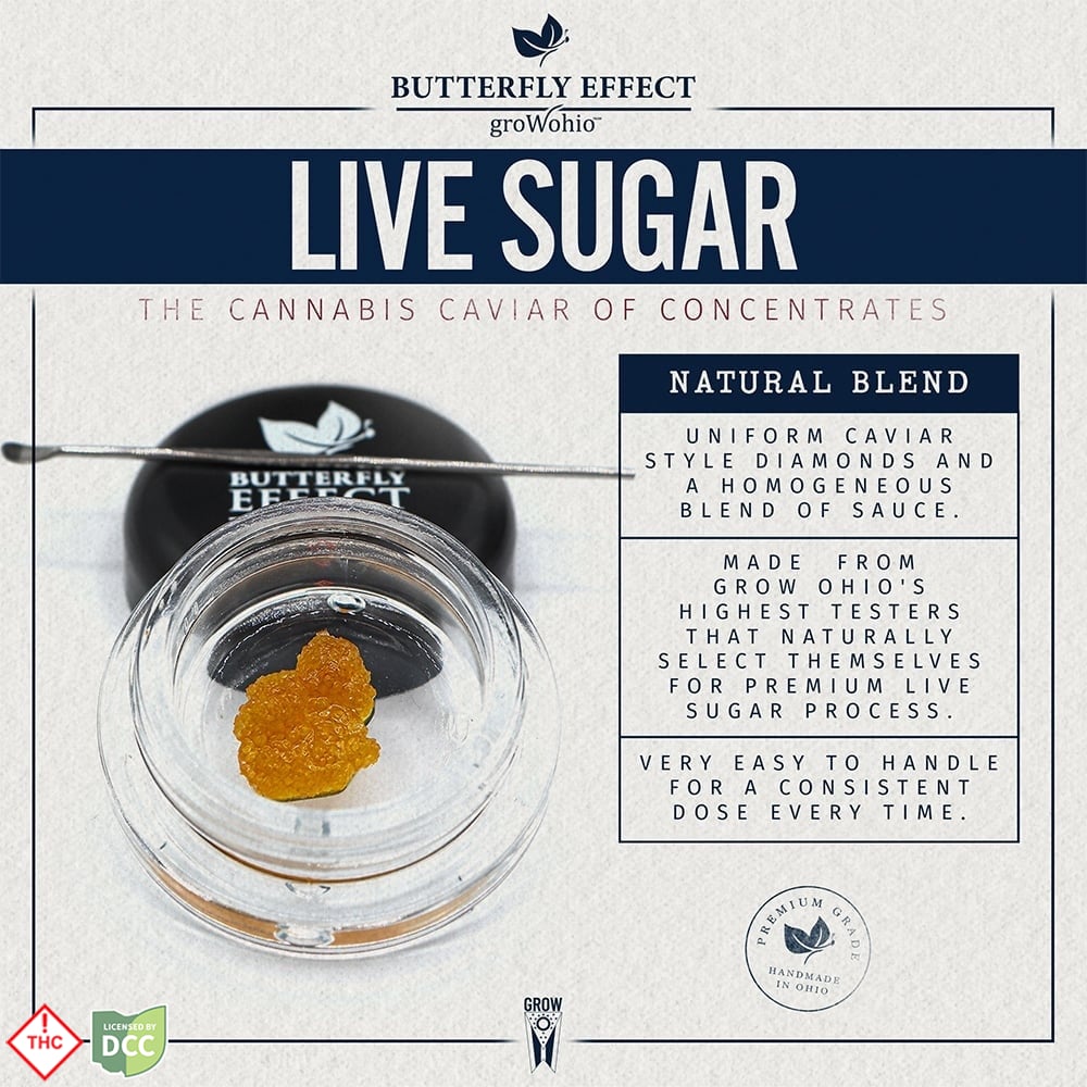 Layer Cake (LIVE SUGAR) [.85g]