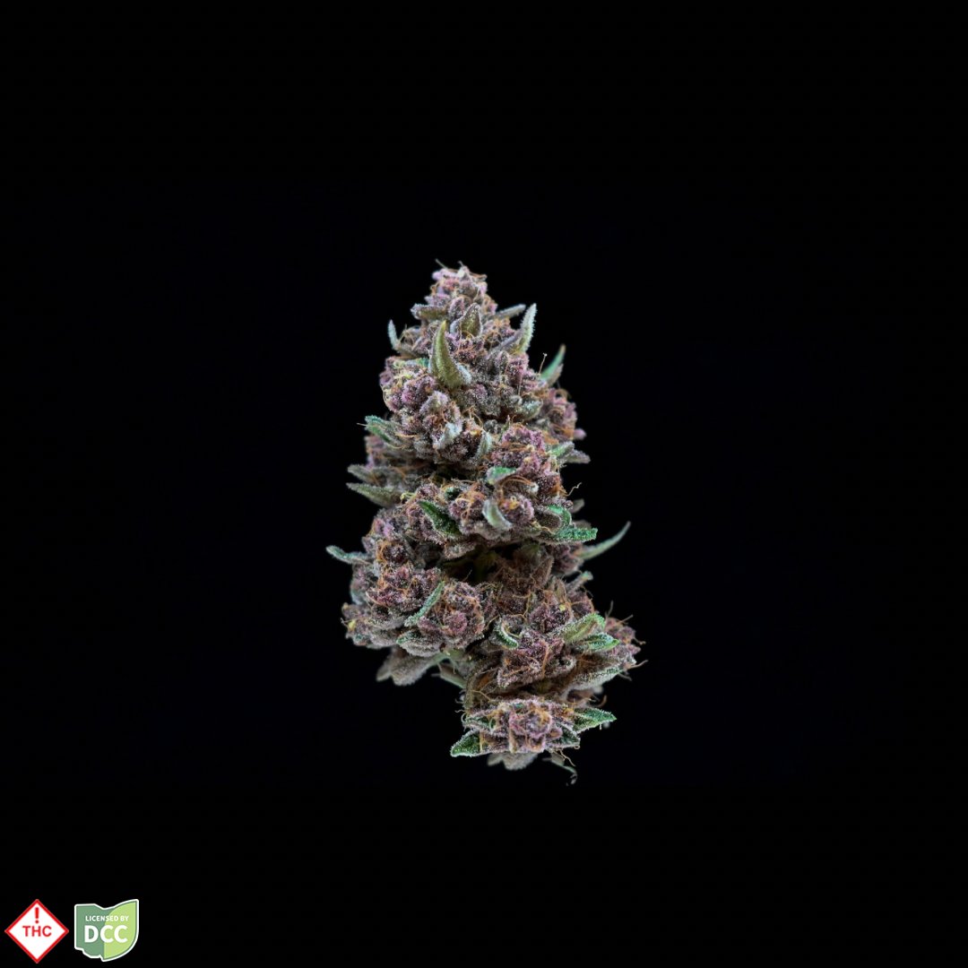 Forbidden Fruit Cake [14.15g]