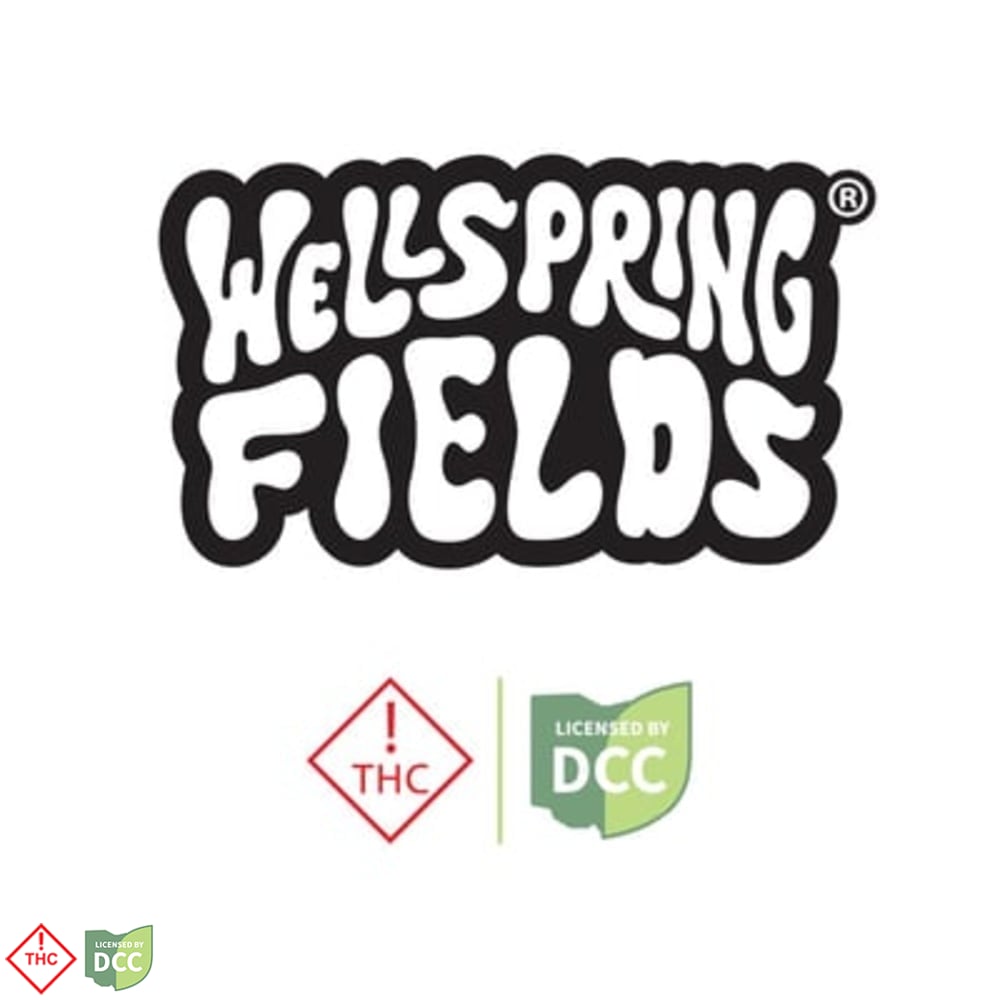 Wellspring Fields - RSO Infused Campfire Bar - 10ct - 100mg