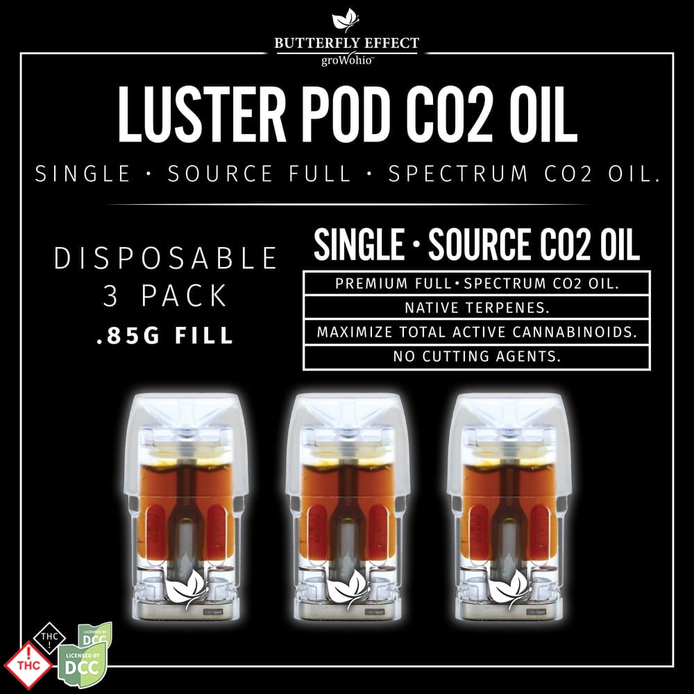 Black Jack Luster Pod [3-pack]