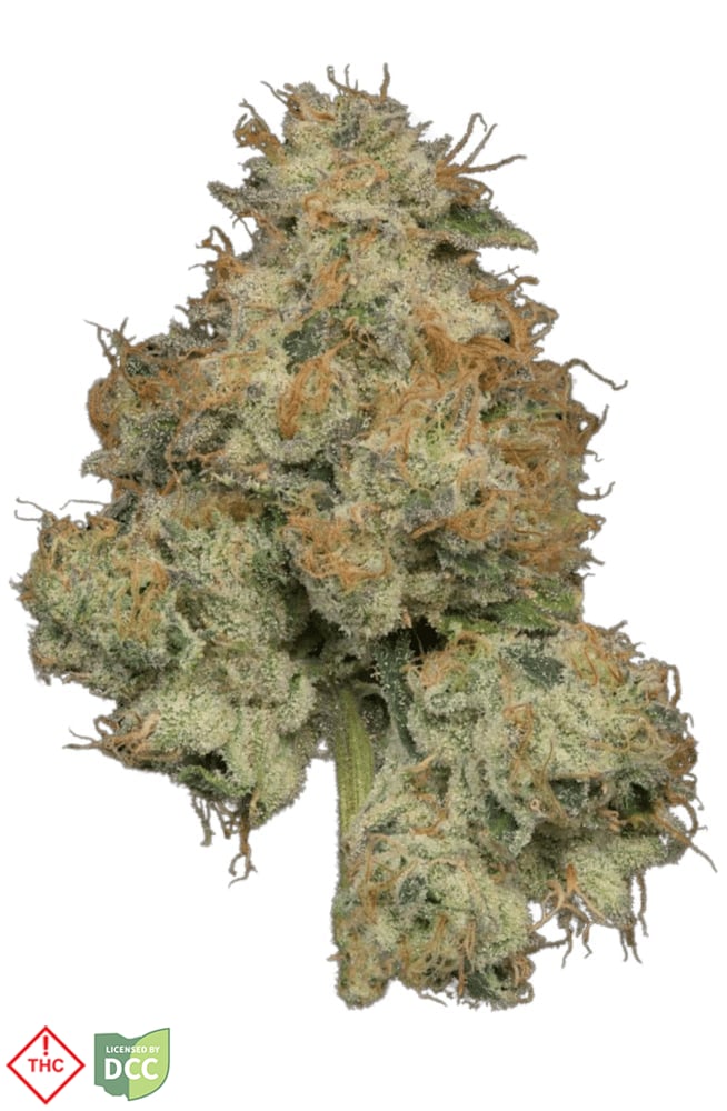 Josh D - Kockeyed - 2.83g