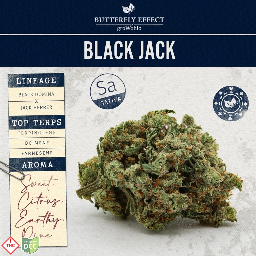 Butterfly Effect - Black Jack - 2.83g
