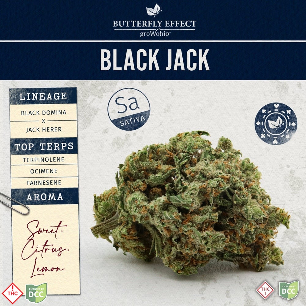 Black Jack [28.3g] (ROUGH CUT)