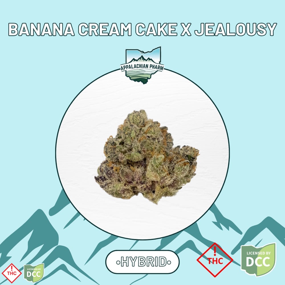 Banana Cream Cake x Jealousy [14.15g]