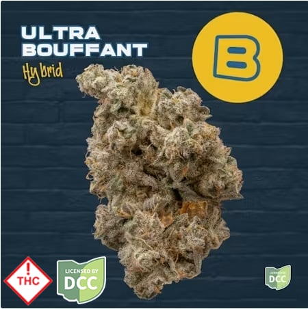 Buckeye Relief - Ultra Bouffant -