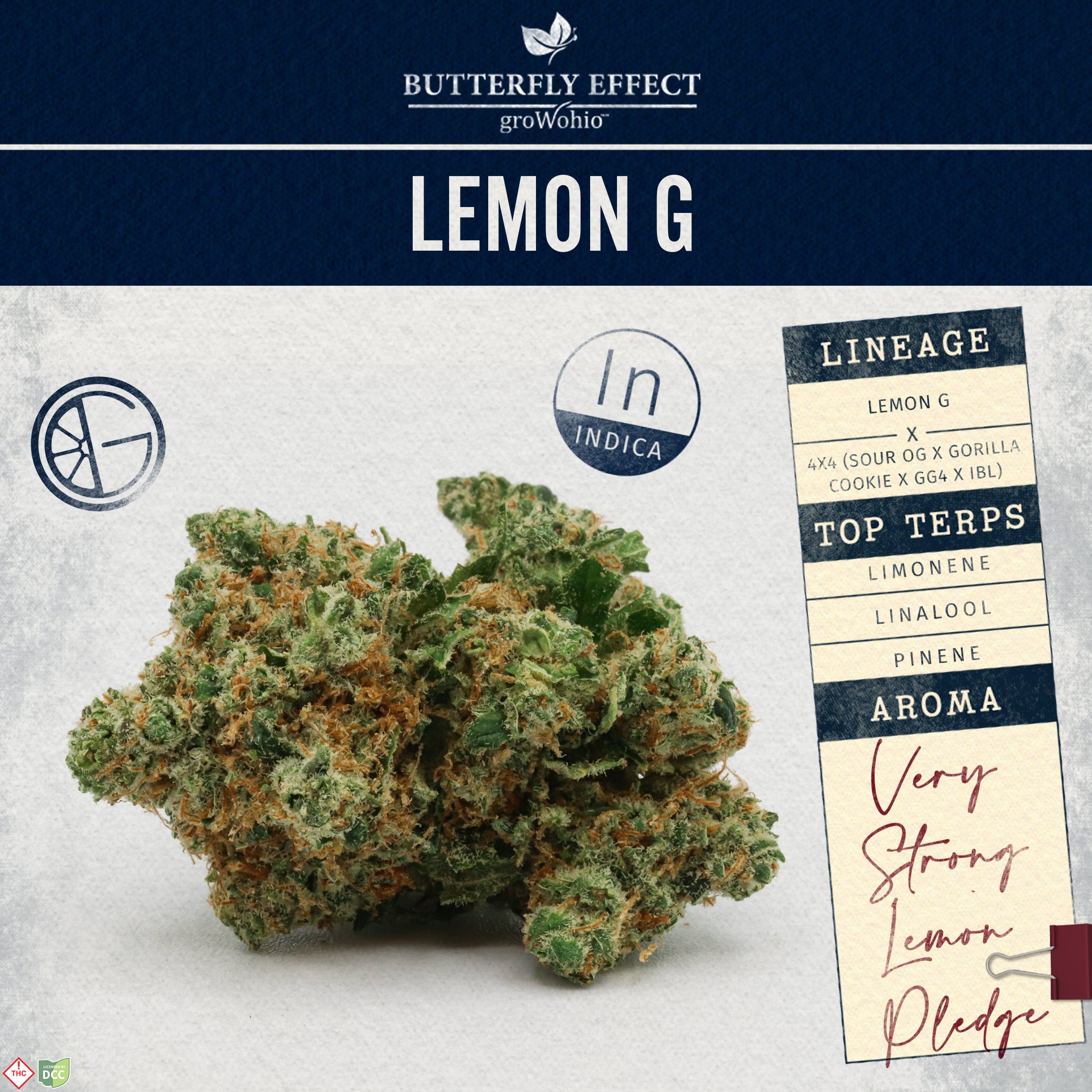 Butterfly Effect - Lemon G - 14.15g [SMALLS]