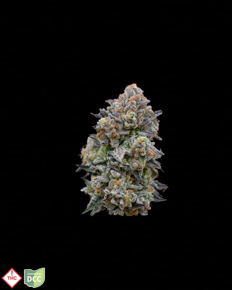 Meat Pie [2.83g]