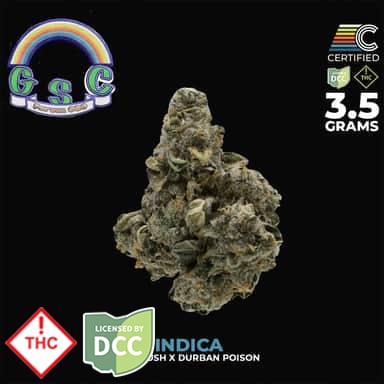 Certified Cultivators - Forum GSC -  [SELECT]